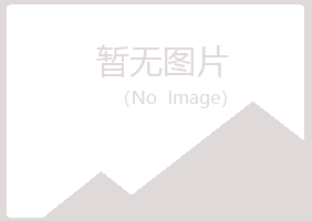 鹤岗南山安雁能源有限公司